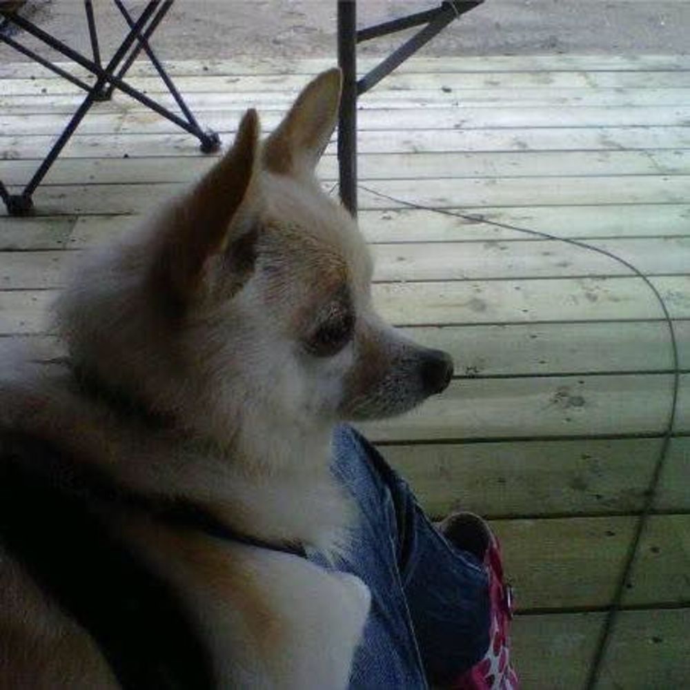 Meet your Posher, Tori